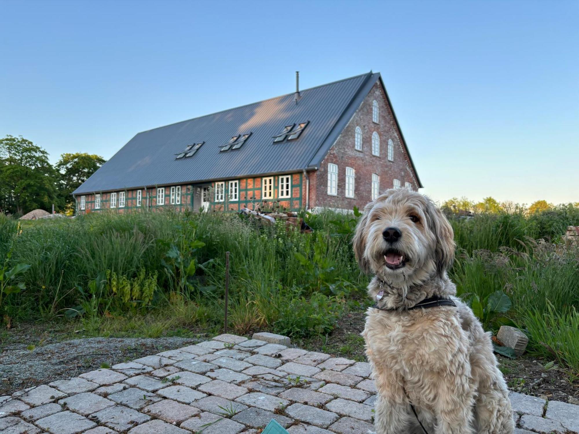 Niedersaechsisches Hallenhaus Im Modernen Gewand Lilienthal  Exterior foto